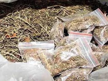 అక్రమంగా గంజాయి విక్రయిస్తున్న వ్యక్తులు అరెస్ట్