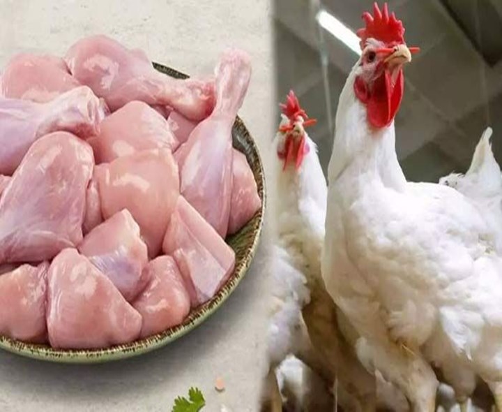 రికార్డు స్థాయికి చికెన్ ధరలు