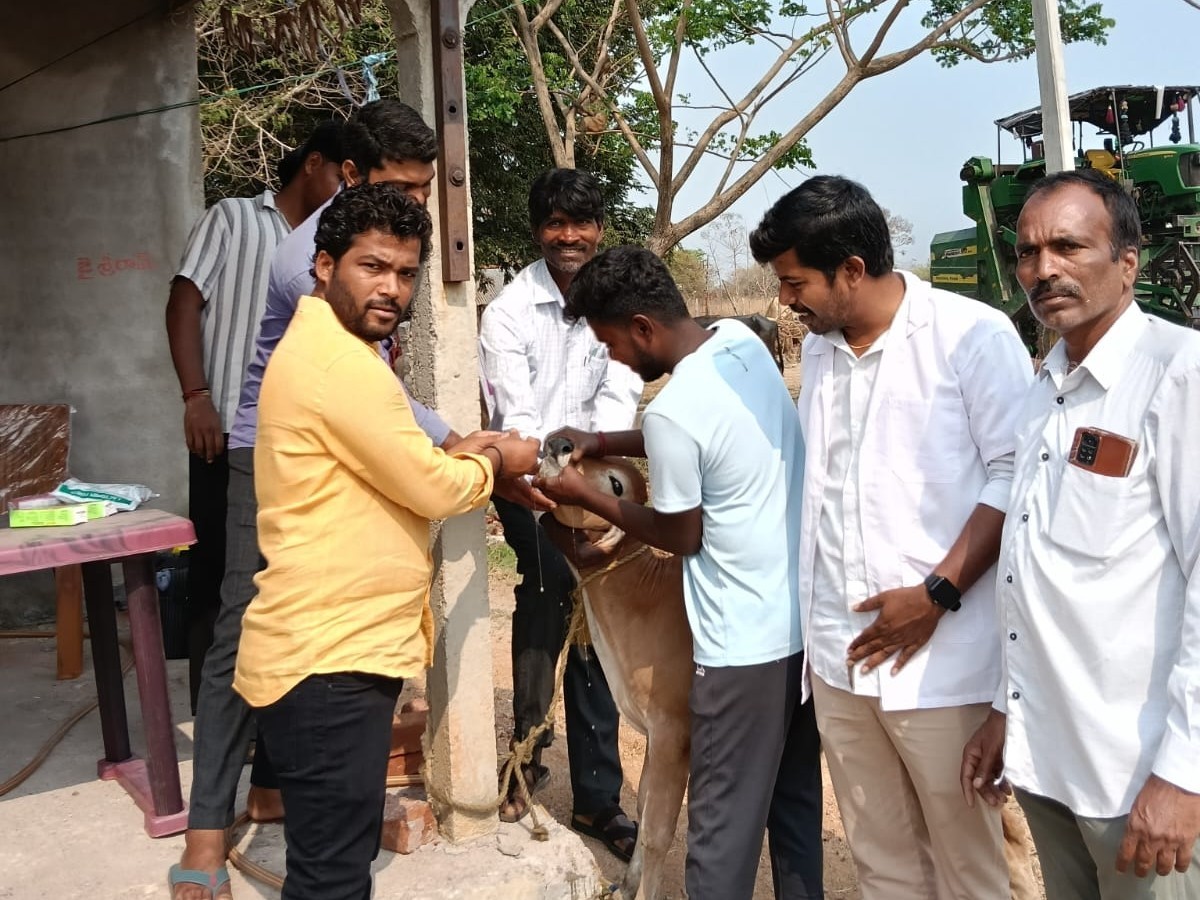 ఉచిత పశువైద్య శిబిరం ప్రారంభించిన సర్పంచ్