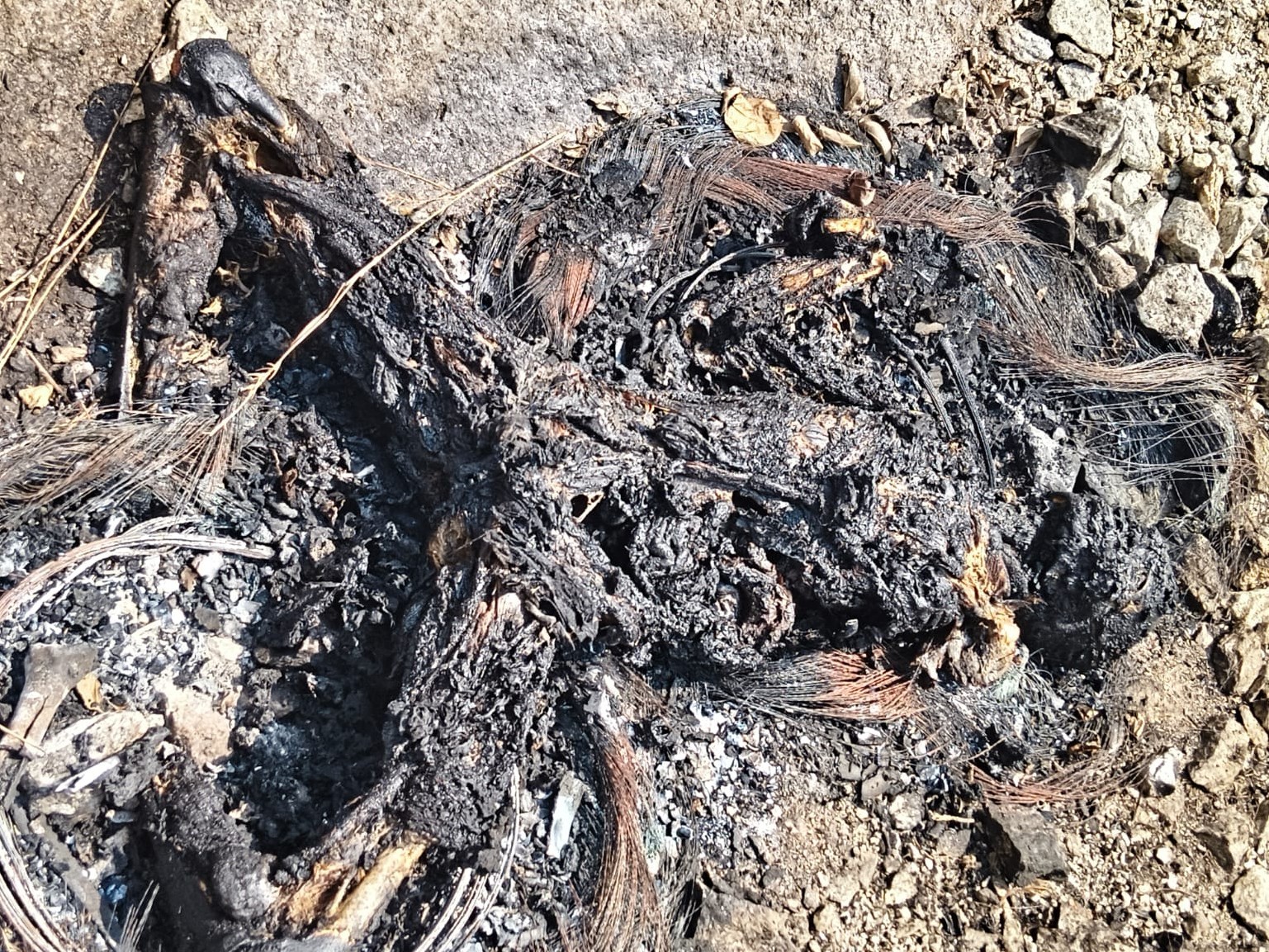 మృతదేహాన్ని కాల్చినట్లు అనుమానాస్పద ఆనవాళ్లు