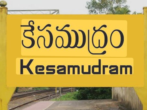 వృద్ధురాలిపై వీధి కుక్కల దాడి.. తీవ్ర గాయాలు