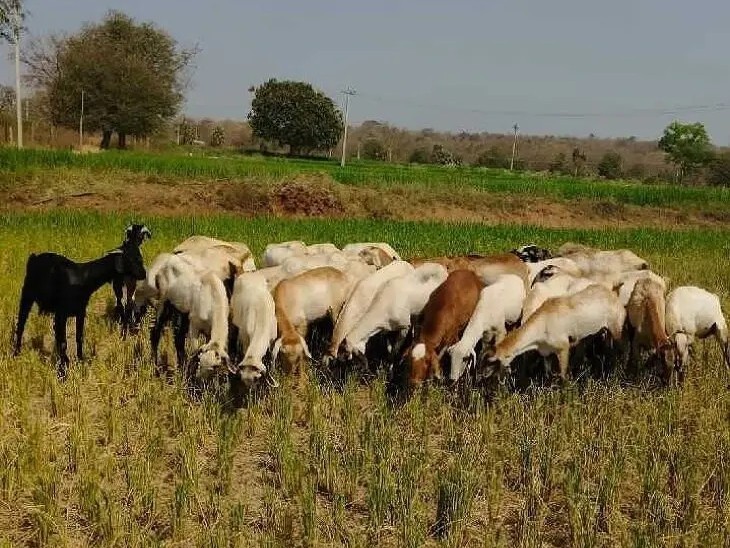 అడుగంటుతున్న భూగర్భ జలాలు.. ఆందోళనలో రైతులు