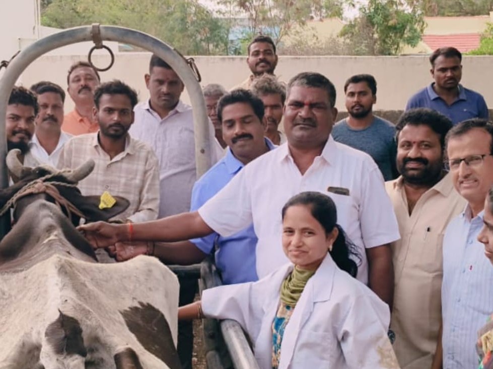 నెల్లుట్లలో పశువులకు టీకాల పంపిణీ