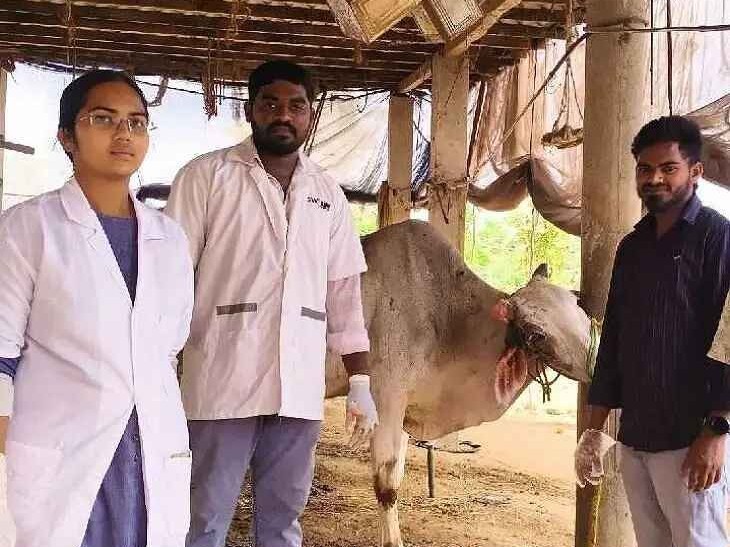 కుళ్ళిపోయిన కొమ్మును తొలగించిన 1962 సిబ్బంది