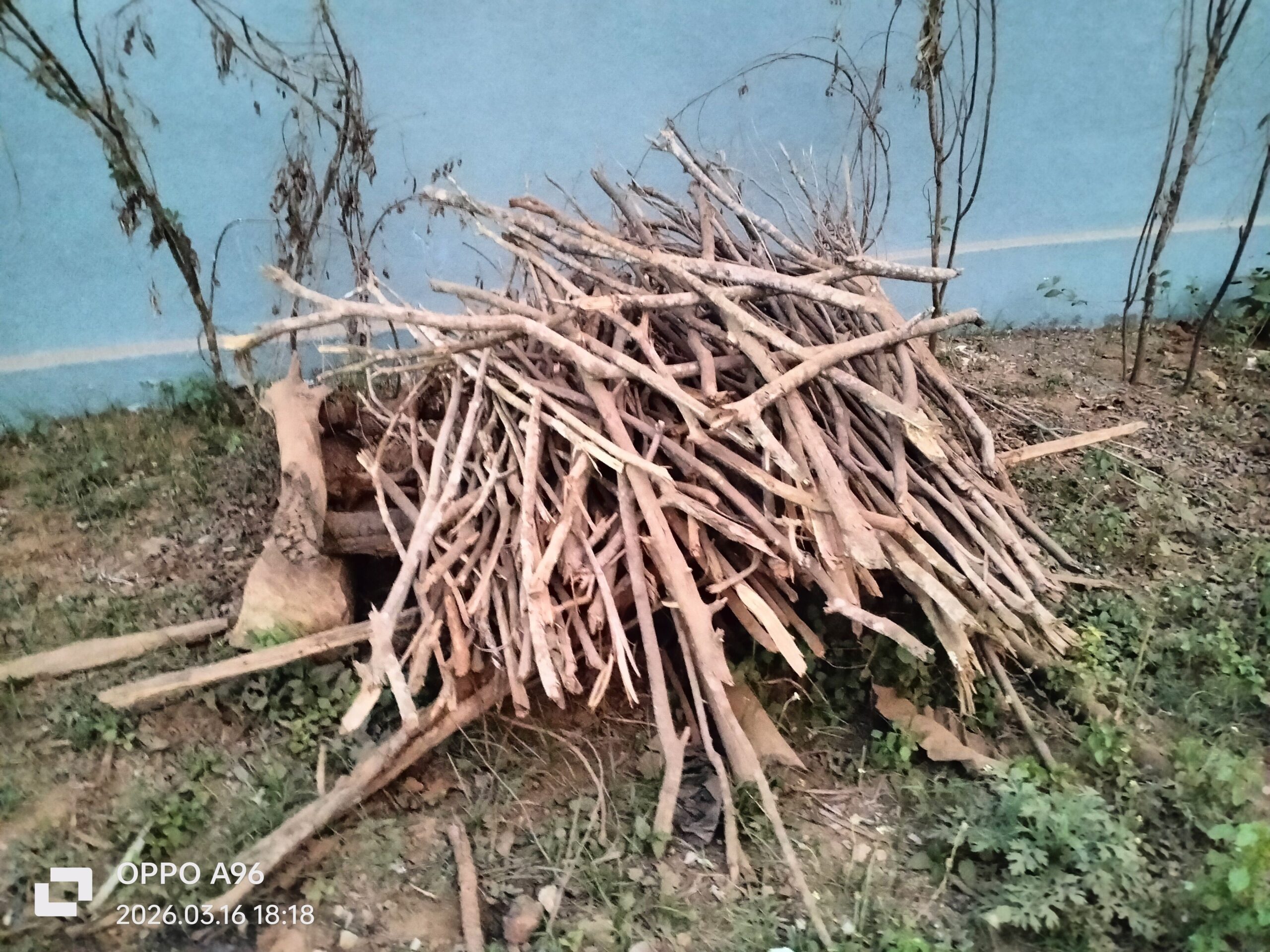 కర్రలకు పెరిగిన డిమాండ్