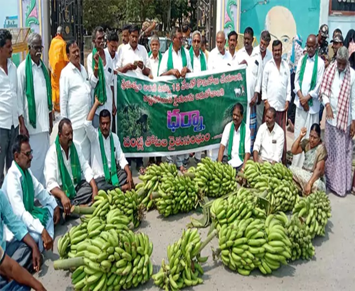 అరటి గెలలతో రైతుల వినూత్న నిరసన