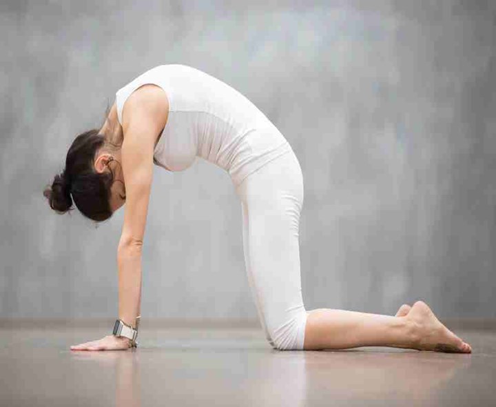 మార్జరి ఆసనం వల్ల కలిగే ప్రయోజనాలు