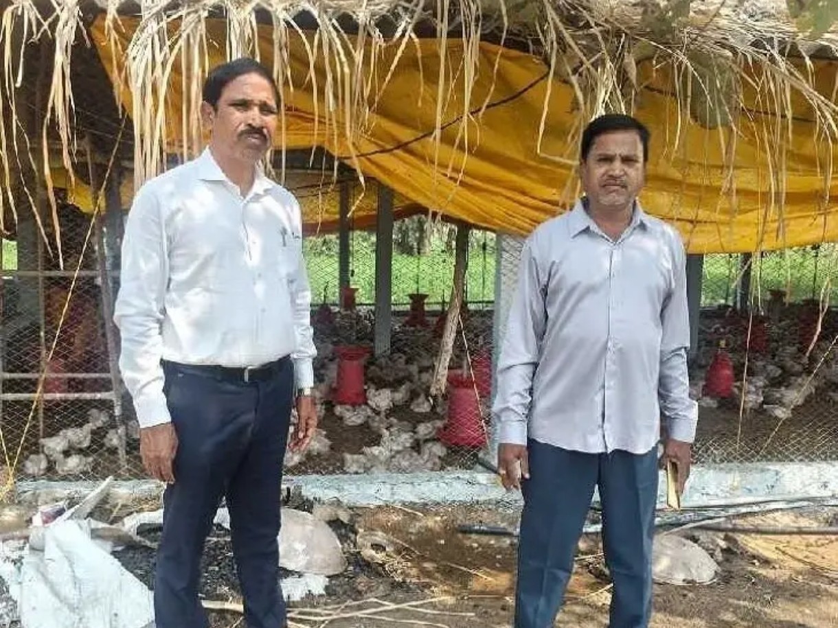 ‘మెదక్ జిల్లాలో బర్డ్ ఫ్లూ వ్యాధి లేదు’