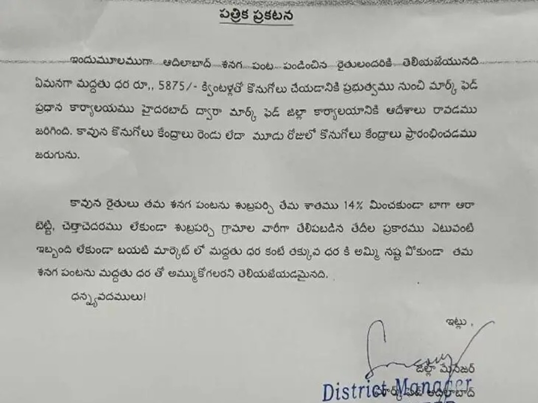 రెండు, మూడు రోజుల్లో శనగ కొనుగోళ్లు ప్రారంభం