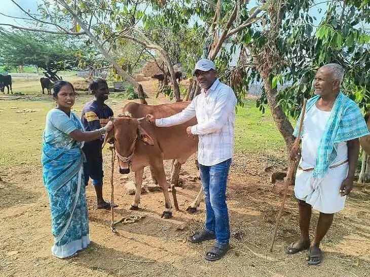 ఉచిత గాలికుంటు వ్యాధి నివారణ టీకాలు