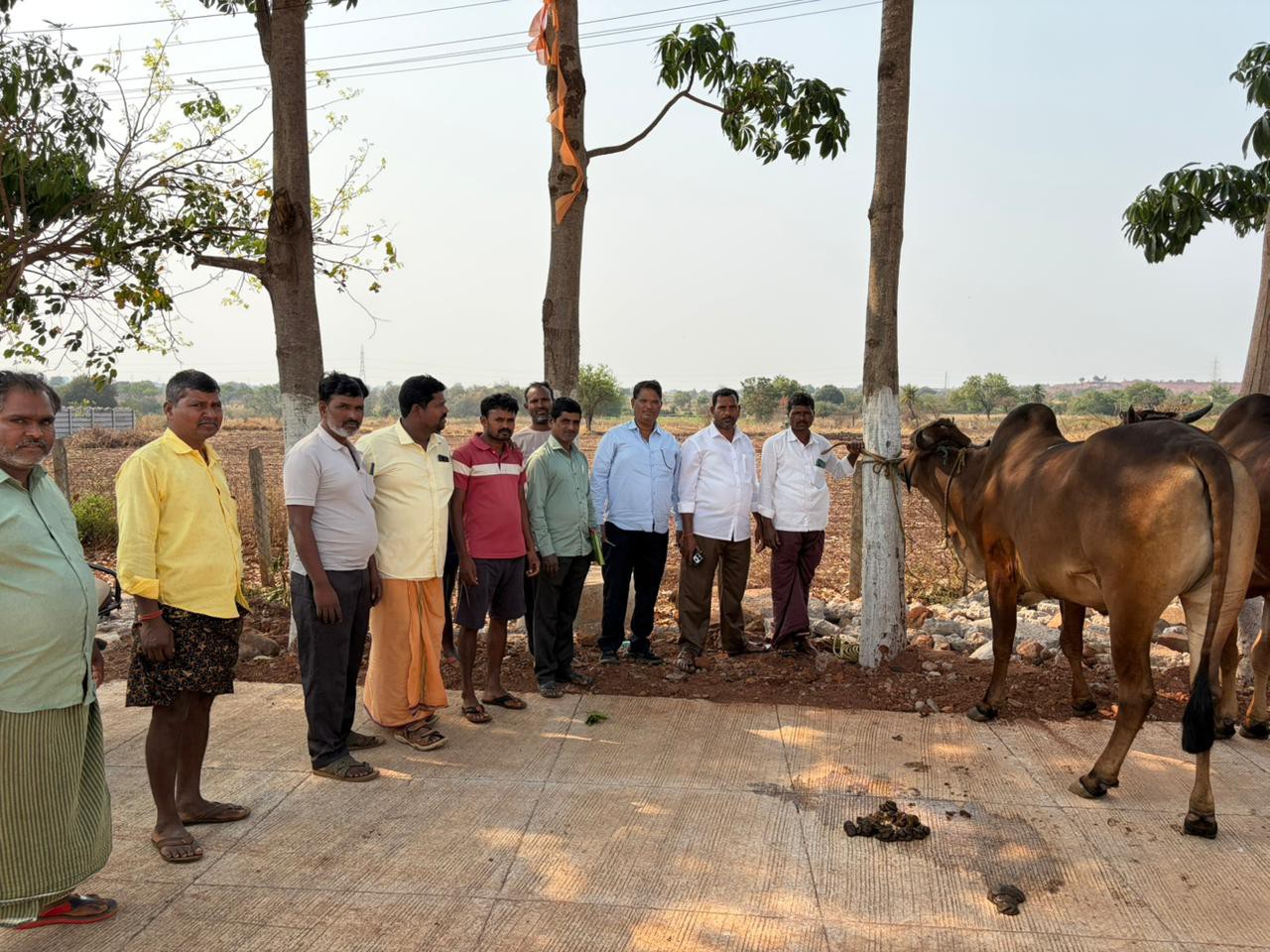 పశువులకు ముందస్తు టీకాలు వేయించడం తప్పనిసరి