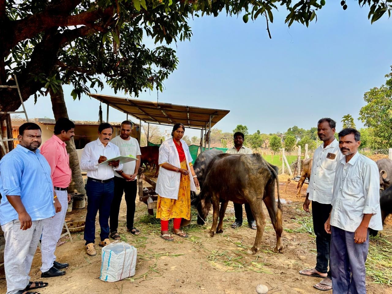 గాలికుంటు వ్యాధి రాకుండా టీకాలు