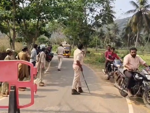 పులి సంచారం.. రహదారి మూసివేత