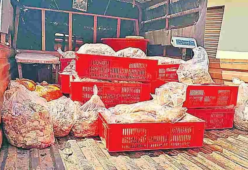 610 కిలోల కుళ్లిపోయిన చికెన్ స్వాధీనం