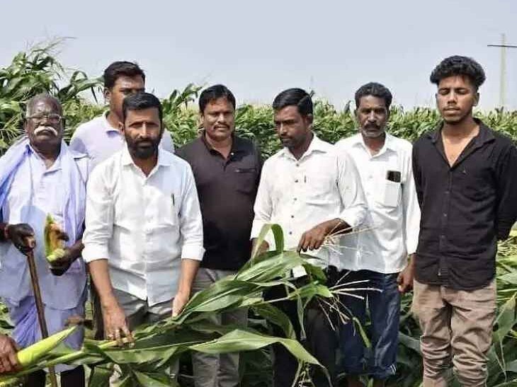 ‘పంట నష్టపోయిన రైతులను ఆదుకోవాలి’
