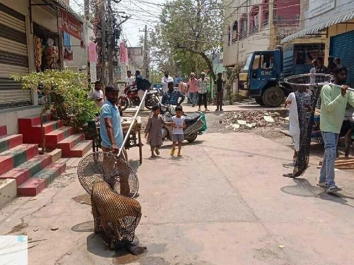 వీధికుక్కల సమస్యపై ప్రత్యేక చర్యలు