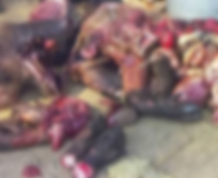 60 కిలోల అడవిపంది మాంసం స్వాధీనం