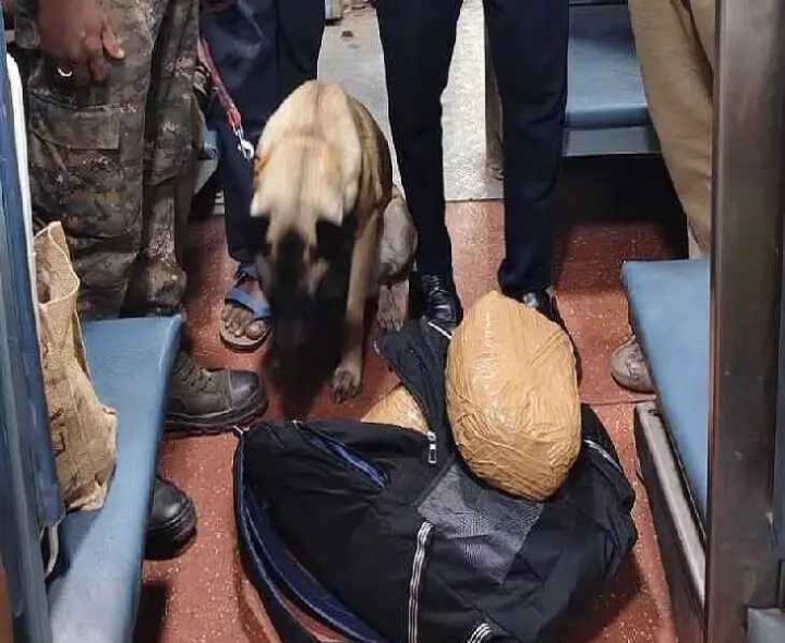 నార్కోటిక్ డాగ్ లైకా.. 6 కేజీల గంజాయి పట్టివేత