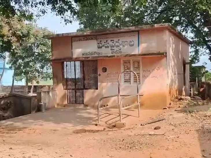 పశు వైద్యశాల.. సమస్యల గోల..!