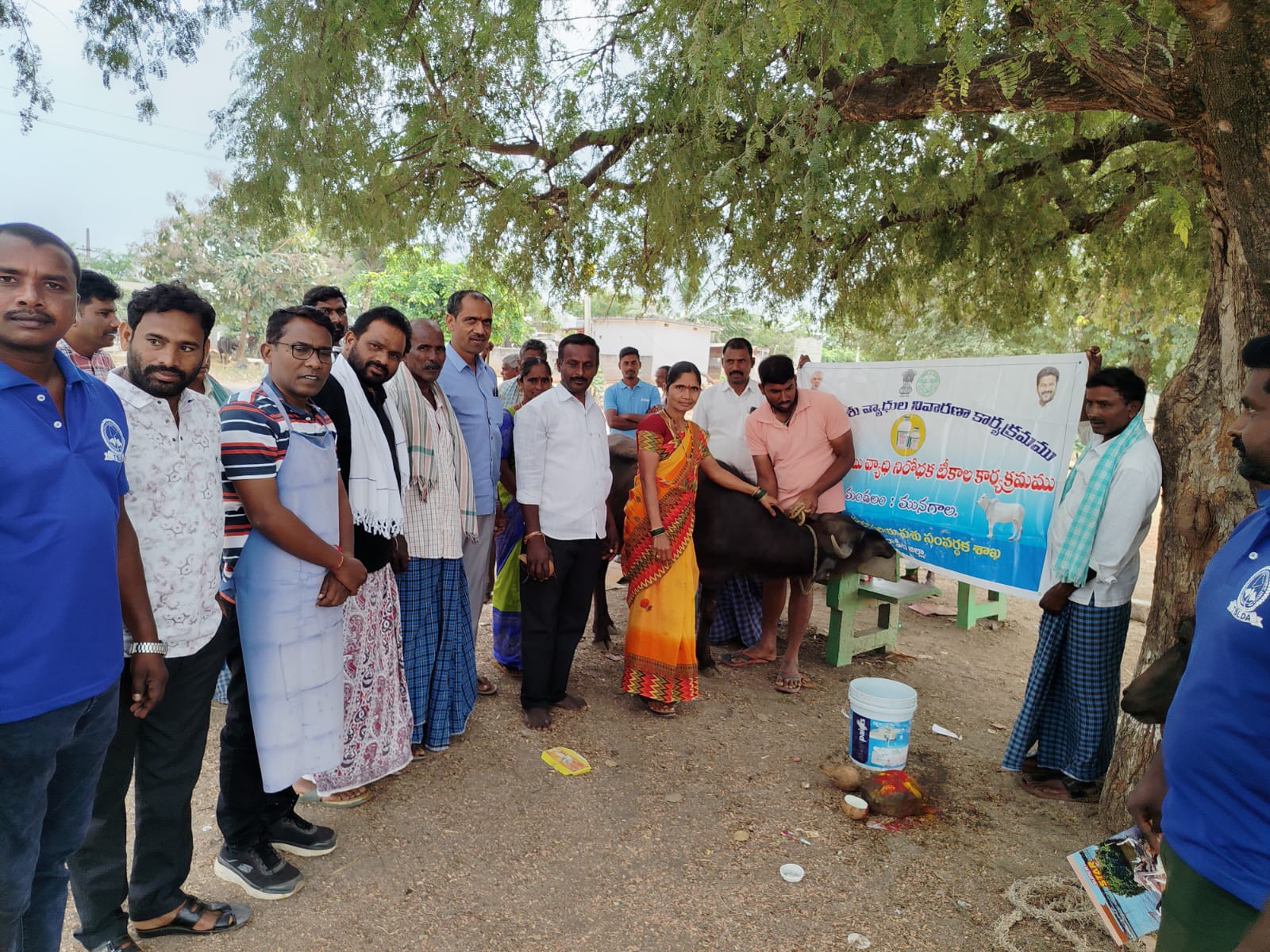 తాడువాయిలో పశువులకు ఉచిత టీకాలు..