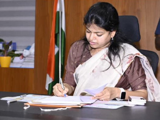 గడువు లోపు పనులను పూర్తి చేయాలి: కలెక్టర్