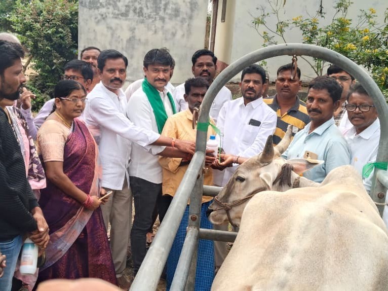 నార్లాపూర్ గ్రామంలో పశు వైద్య శిబిరం..