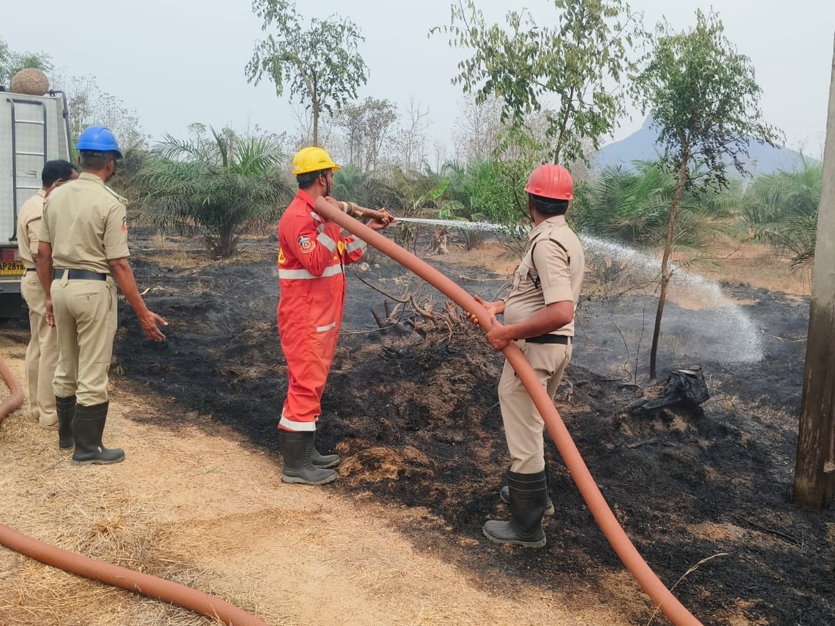 పామ్ ఆయిల్ తోటలో అగ్నిప్రమాదం