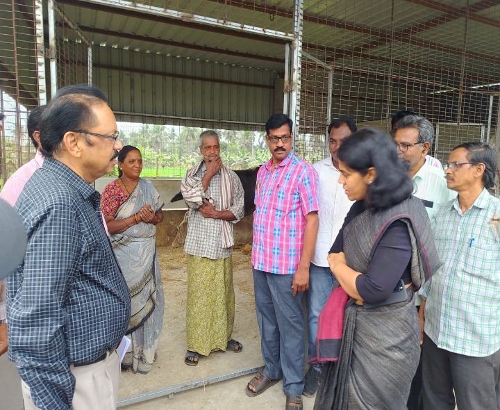 ‘పశుసంవర్థక ప్రోత్సాహానికి మినీ గోకులం’