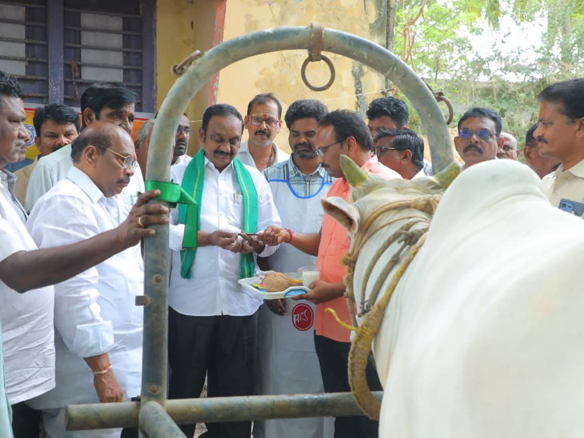 పమిడిపాడులో పశువులకు టీకాల పంపిణీ