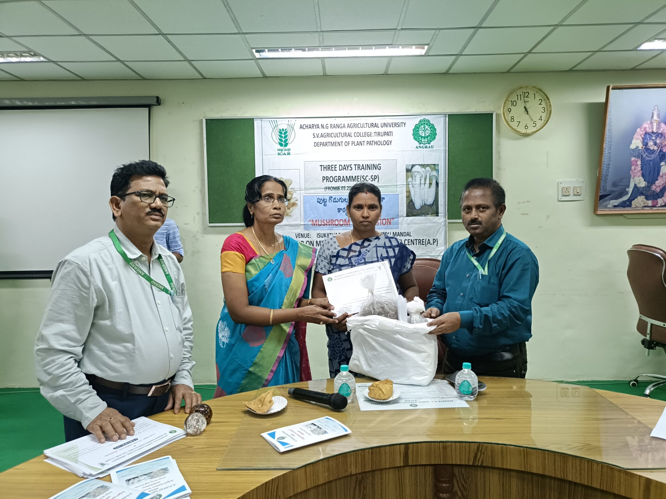 పుట్టగొడుగుల శిక్షణ ముగింపు