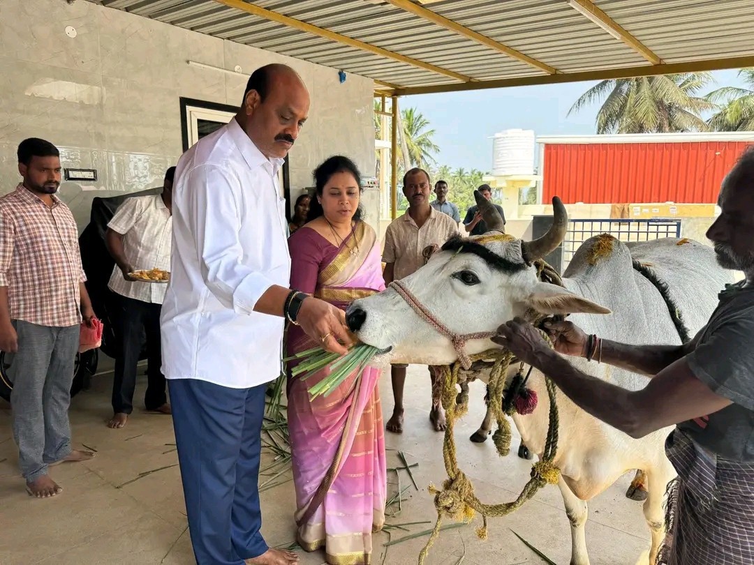 గో సేవలో మంత్రి అచ్చెన్న నాయుడు దంపతులు