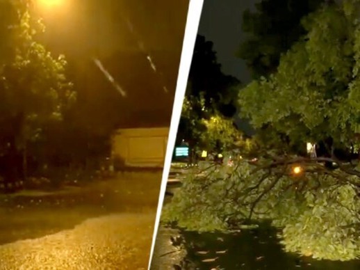 కొబ్బరిచెట్టుపై పిడుగు.. తప్పిన ప్రమాదం