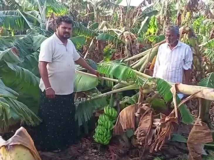 జిల్లాలో గాలివాన బీభత్సం