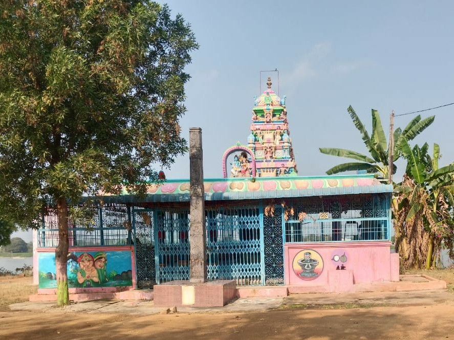 గంగమ్మ తల్లికి మంగళహారతులు..!