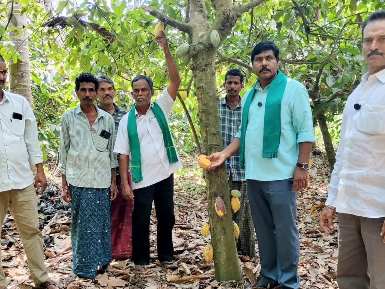 కోకో తోటలను పరిశీలించిన రైతు సంఘం నాయకులు