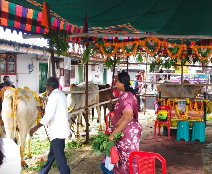 ఉగాది సందర్భంగా సత్తెనపల్లి రోడ్డులో గోసేవ కార్యక్రమం