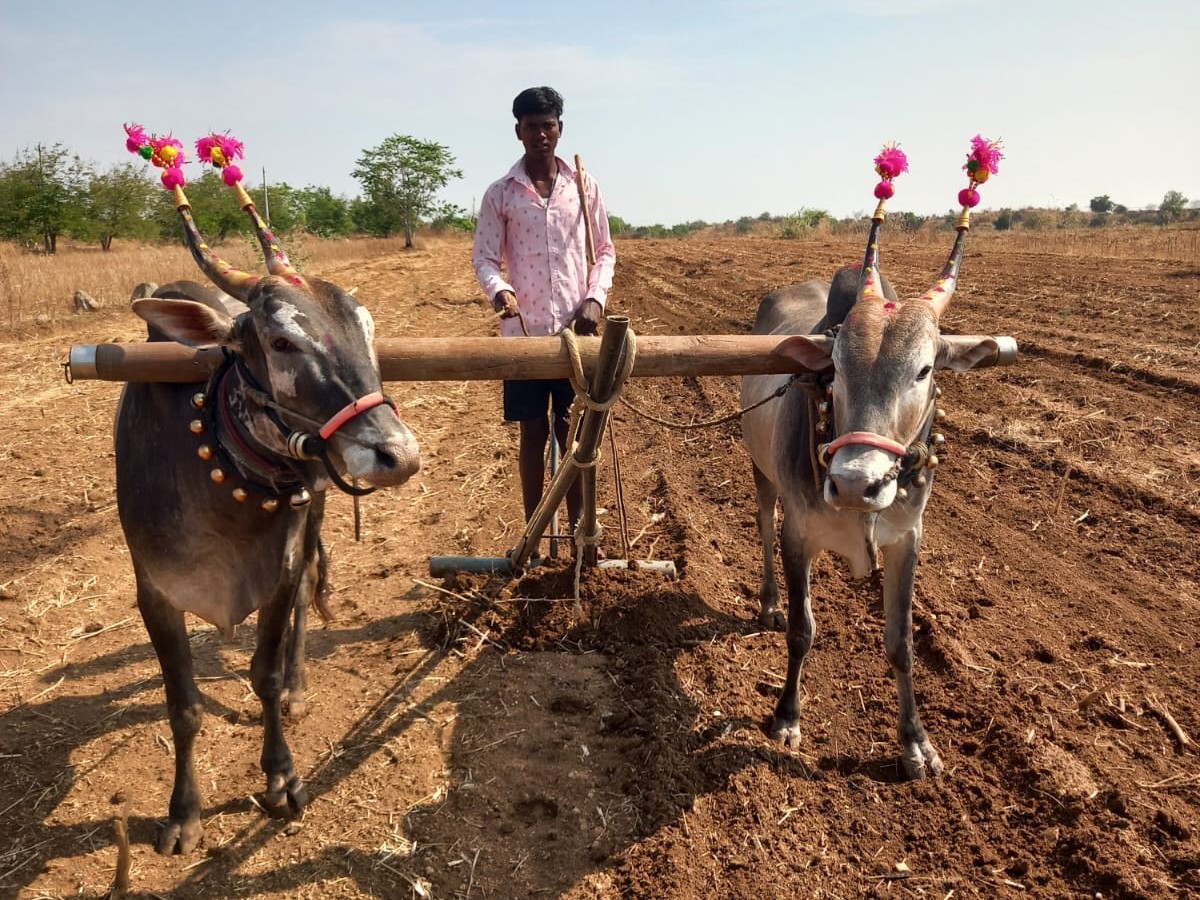 నేలమ్మ .. నేలమ్మ.. నీకు వేలవేల వందనాలమ్మా..!