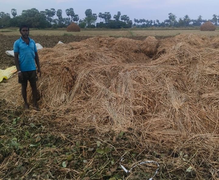 పిడుగుపాటుకు వరి కుప్ప దగ్ధం