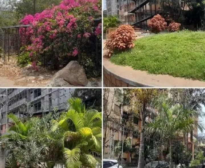 మండుతున్న ఎండలో వన్నె తగ్గని పచ్చదనం