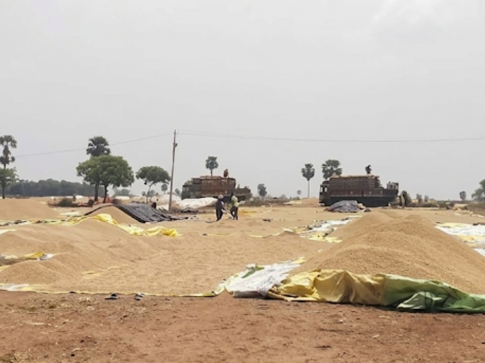 400 ధాన్యం కొనుగోలు కేంద్రాల ఏర్పాటు