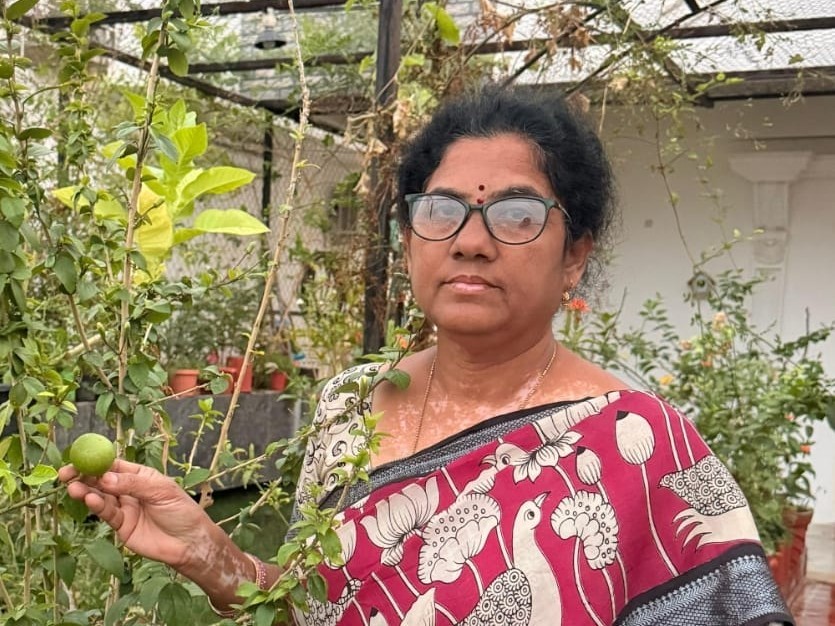 వనపర్తి జిల్లా వాసికి మిద్దెతోట పురస్కారం..