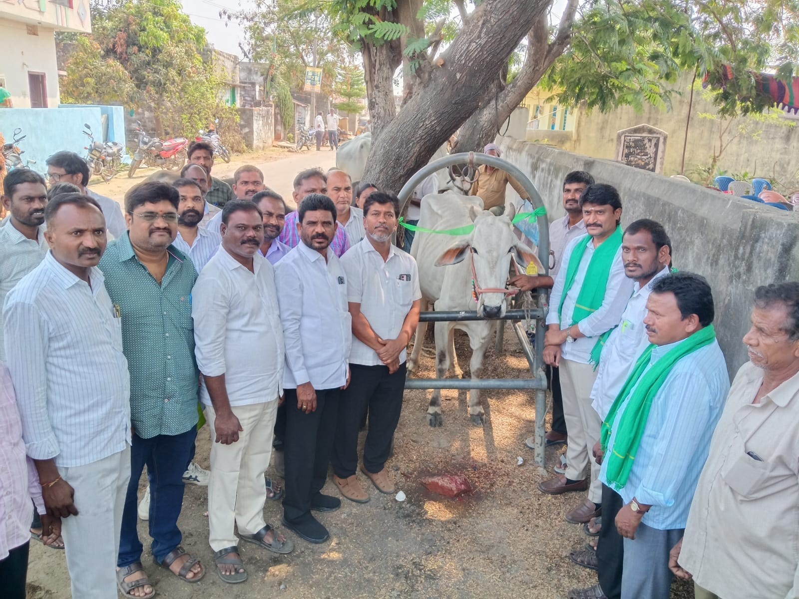 పోచారం గ్రామంలో పశు వైద్య శిబిరం కార్యక్రమం