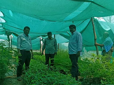 నర్సరీని సందర్శించిన ఎంపీడీవో హరి సింగ్ నాయక్