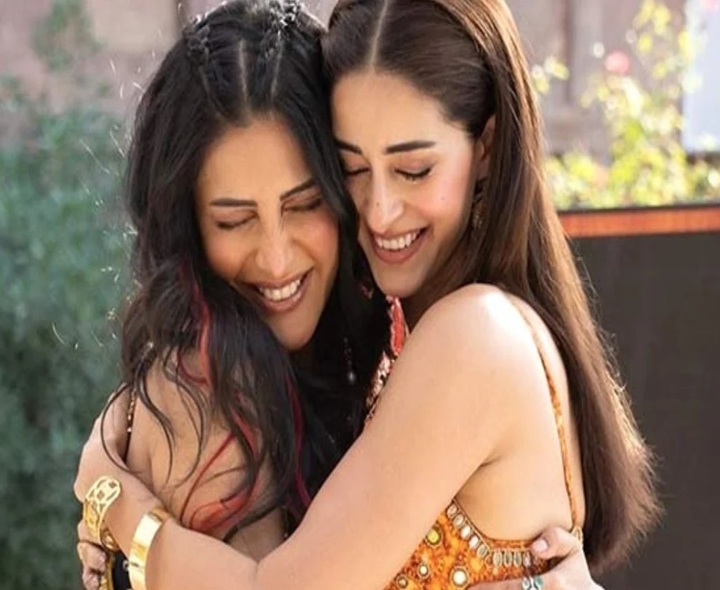 శృతి హాసన్, అనన్య కాంబోలో వెబ్ సిరీస్!