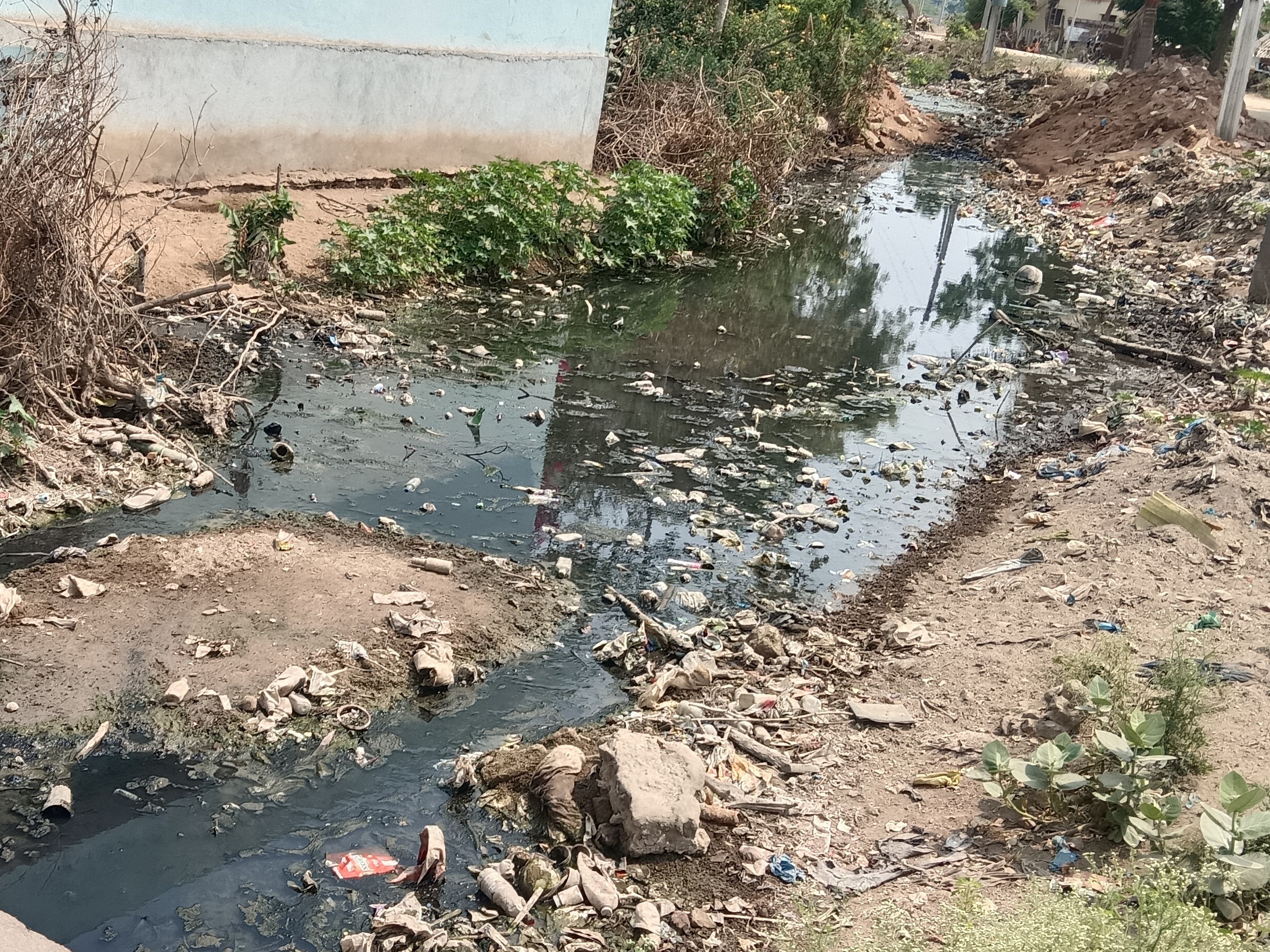 ‘రాచకాలువను పునరుద్ధరించండి’