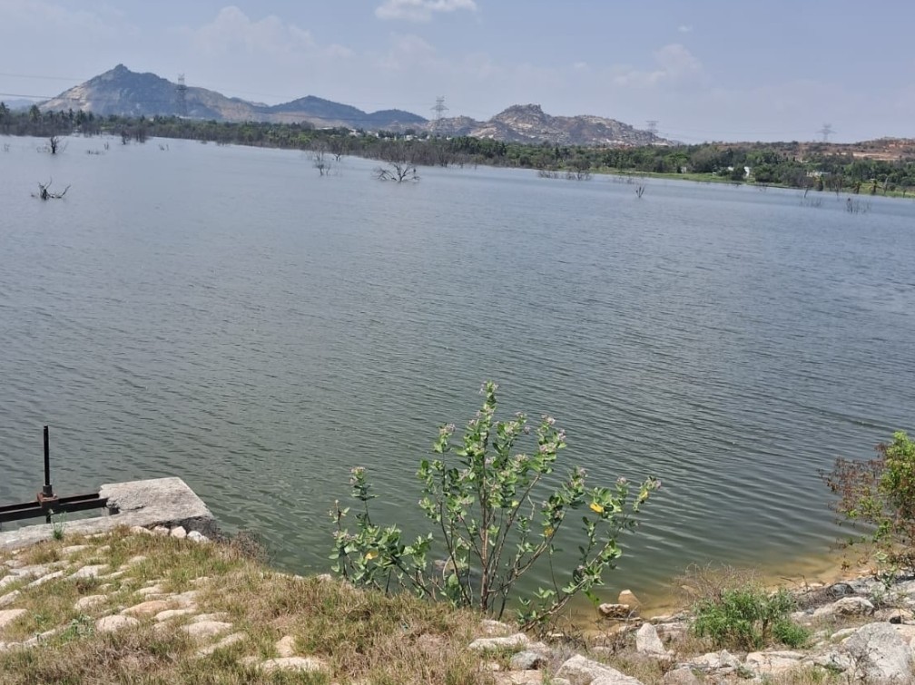 కోర్టు ఉత్తర్వులతో భూపరిహారం