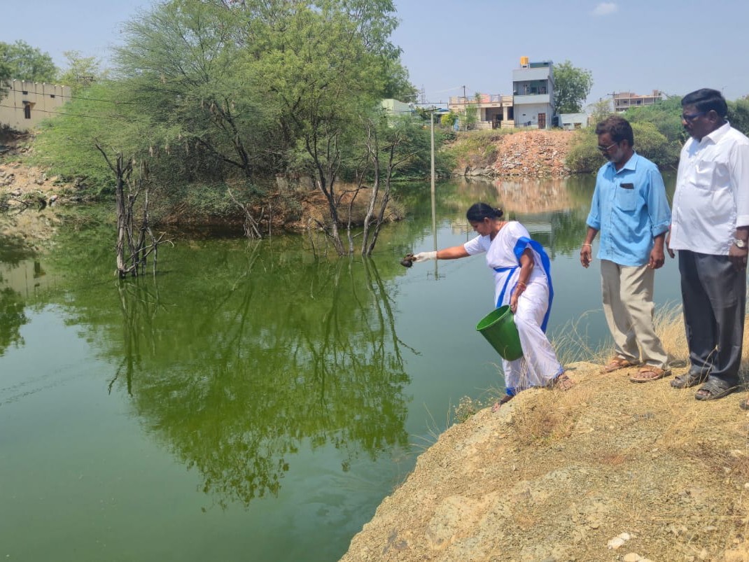 పులివెందులలో దోమల నిర్మూలనకు చర్యలు