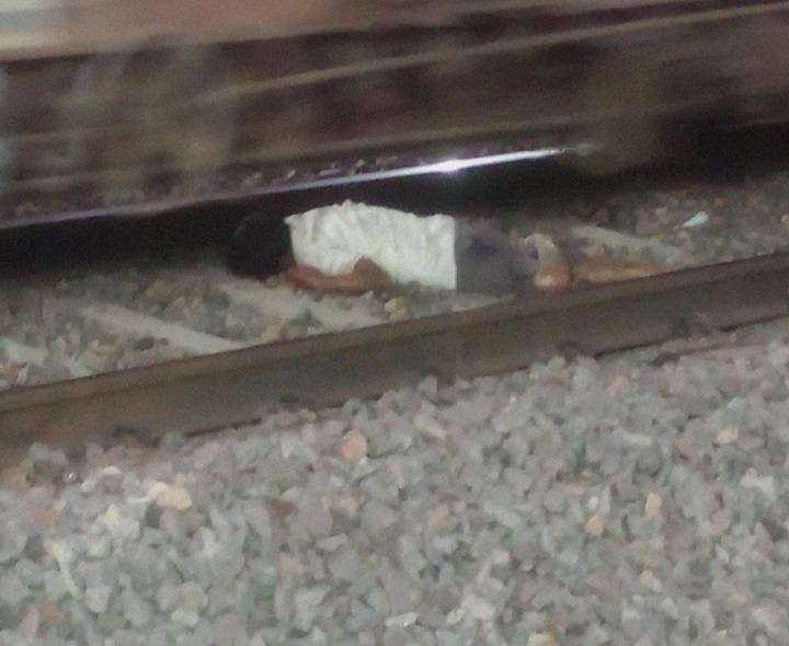 గూడ్స్ రైలు కిందపడి వృద్ధుడు మృతి