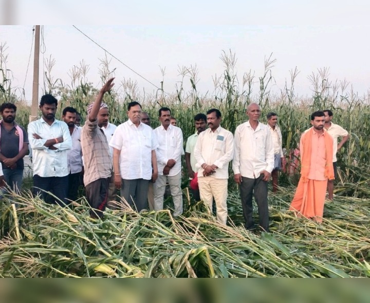 బాధిత రైతులను ఆదుకోవాలి: మాజీ ఎమ్మెల్యే