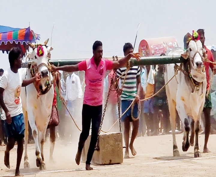 సిద్ధినగట్టులో రాష్ట్ర స్థాయి పోటీలు